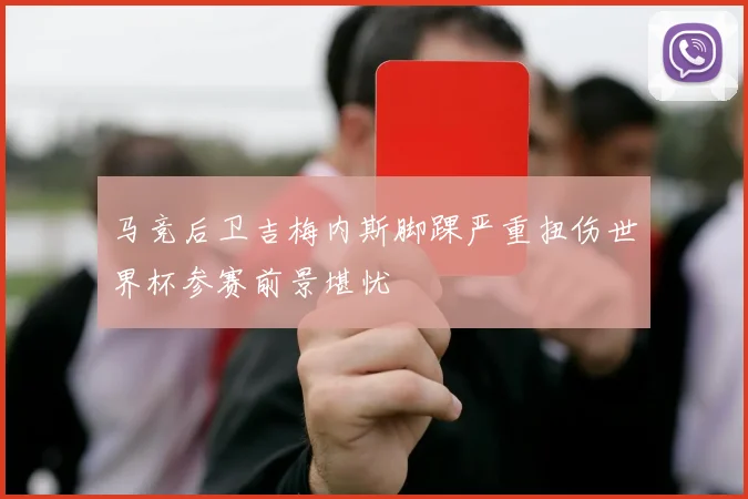 马竞后卫吉梅内斯脚踝严重扭伤世界杯参赛前景堪忧